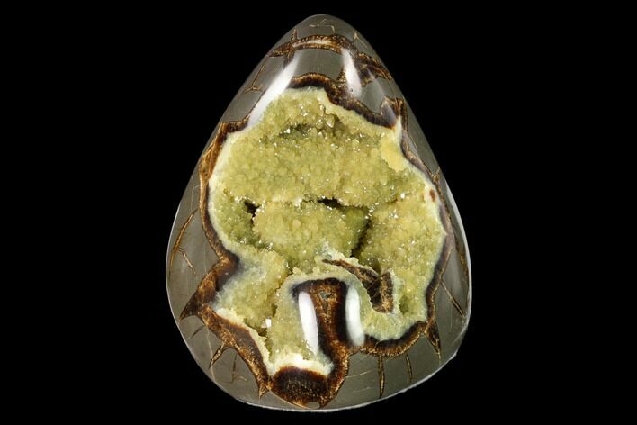 Polished, Crystal Filled Septarian Nodule - Utah #149965
